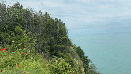 Coastal wildflower meadow with wooden chair overlooking sea captured