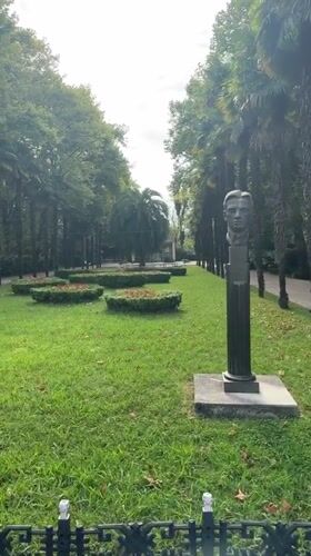 Strolling through a palm-lined ornamental garden in Sochi