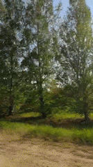 Vehicle travels dirt road past meadow in rural Russia