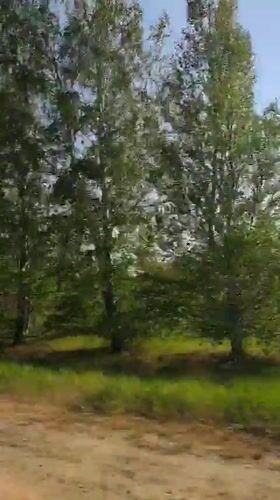 Vehicle travels dirt road past meadow in rural Russia