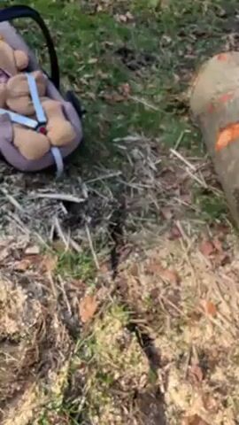 The video shows a baby in a car seat outside, next to a pile of cut logs in a forest setting. A man, wearing protective clothing, approaches the logs. The video then pans to show a large stack of logs.