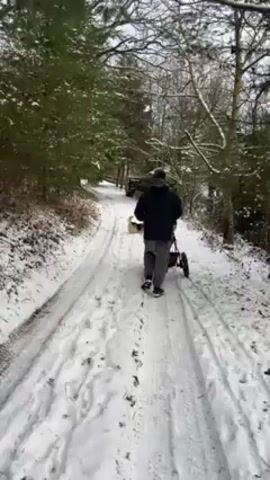 A person walks away from the camera down a snow-covered dirt road, pushing a dark colored, three-wheeled stroller. The stroller contains a yellow object, possibly a toy. The person is wearing a dark jacket and grey pants. The road is flanked by trees, some evergreen, with snow visible on their branches. The sky is overcast. The road has tire tracks, indicating previous vehicle passage.