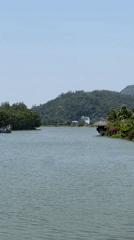 Dawn resort scenes documented at Tay Natural Heritage Area