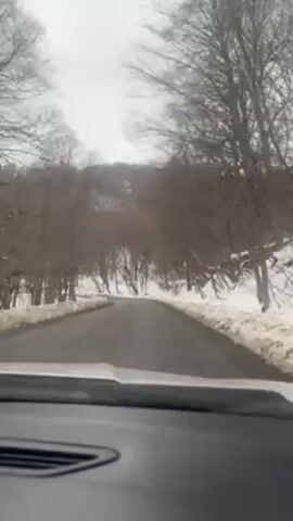 The video depicts a car driving on a road surrounded by snow. Trees without leaves are visible on both sides of the road. The road is paved and appears to be clear of snow. The sky is overcast. The view is from the car's dashboard, looking out the windshield. The interior of the car's dashboard is visible at the bottom of the frame.