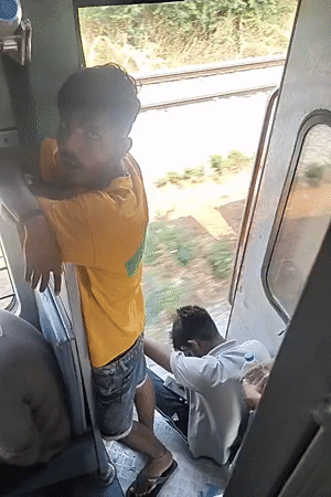 Morning commute scenes captured in Bengaluru: trains and street cows