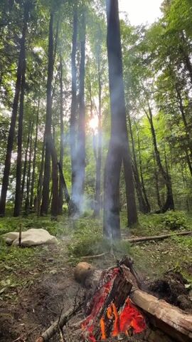 A static, low-angle, medium outdoor shot captures a burning campfire in the foreground, with trees and sunlight in the background. The fire is at the bottom right, with orange and red flames and dark wood. Smoke rises from the fire and dissipates into the tall, green trees that dominate the center and background. The sun shines brightly through the trees in the center of the frame, creating a lens flare and illuminating the smoke. The ground is dirt and covered with leaves, with some green foliage. A white tarp or blanket is visible on the left side, slightly behind the campfire. The forest is dense and appears to be deciduous or mixed. No people are visible.
