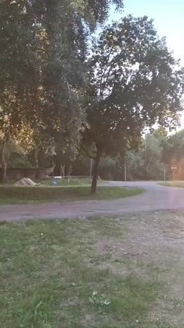 A person rides a motorcycle on a paved road in a park-like setting. The motorcycle is black and the rider is wearing a helmet. The road curves to the right and is lined with trees and grass. The sky is blue with some clouds. There is a stop sign visible in the background.