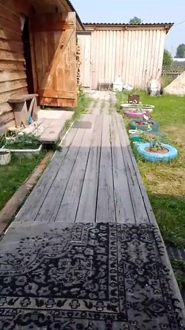 This is a video of a rural outdoor scene, likely a backyard or homestead in Batovo, Russia. The time of day appears to be daytime, with clear sky and bright sunlight casting shadows. The weather seems to be warm and pleasant.

The foreground features a wooden walkway leading away from a wooden building, possibly a house or shed. A patterned rug is placed at the start of the walkway. The walkway is flanked by green grass.

Further into the scene, a light-colored, corrugated metal shed stands to the right of the wooden building. In front of the shed, there are several flower beds creatively made from old tires. These tire planters are painted in various colors, including blue and pink, and contain small plants and flowers.

To the right of the shed, a large pile of sand or soil is visible, along with stacks of lumber. In the background, more distant trees and structures can be seen, suggesting a rural or semi-rural environment. A communication tower is also visible in the far distance.

There are no people visible in the video, and the overall atmosphere is peaceful and serene, showcasing a well-maintained outdoor space with elements of DIY gardening. No text is visible in the video.