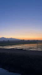 Sunset over flooded rice paddies in rural Karangrandu, Indonesia