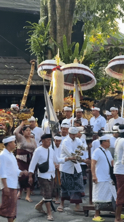 Traditional religious procession winds through Ubud toward a temple