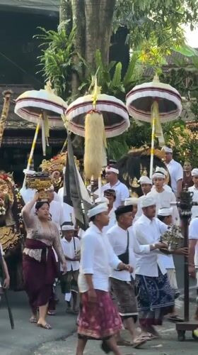 Traditional religious procession winds through Ubud toward a temple