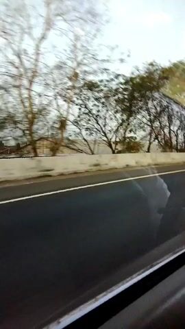 This is a blurry, low-light video taken from the interior of a moving vehicle. The camera is looking out the side window, and the perspective suggests the vehicle is traveling along a paved road. A concrete barrier runs parallel to the road, separating it from what appears to be a grassy embankment with sparse trees. The trees are mostly bare, indicating it might be autumn or winter. The sky is overcast. The motion blur of the trees and scenery indicates the speed of the vehicle.