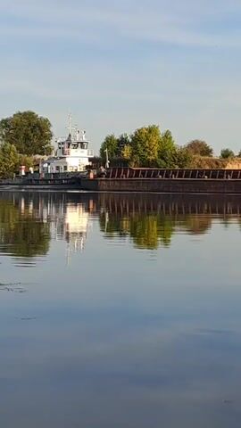 A tugboat pushes a barge down a calm river. The sky is clear blue with a few wispy clouds. The sun is shining, casting a reflection of the tugboat and barge on the water. Trees and reeds line the riverbank in the background. The tugboat is white with a gray hull, and the barge is dark brown. The tugboat has a single stack and a small cabin. The barge appears to be empty. The video is shot from a low angle, looking across the water at the tugboat and barge.