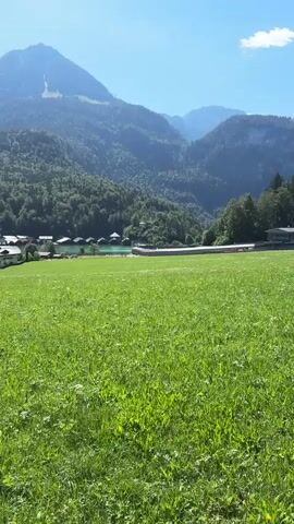 The video shows a panoramic view of a mountainous landscape on a sunny day. In the foreground, a lush green meadow stretches across the frame, with tall grass and some smaller white flowers. A dirt path runs along the left side of the meadow. Further in the distance, a body of water, possibly a lake, is visible, with several small, dark-roofed structures lining its shore. Beyond the water, a dense forest covers the slopes of rolling hills. Towering mountains form the backdrop, with some peaks appearing to have ski slopes or trails. The sky is a clear, bright blue with a few scattered white clouds. In the latter part of the video, a person is seen walking away from the camera on the dirt path, using hiking poles and carrying a backpack. The person is wearing a hat and appears to be dressed for outdoor activity.