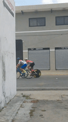 Cyclists and garden plants documented in Tinaquillo, Venezuela