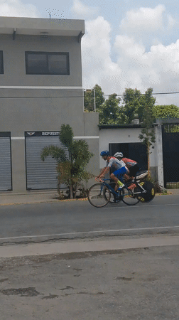 Cyclists and garden plants documented in Tinaquillo, Venezuela