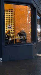 Elderly man dines alone at Ushuaia restaurant