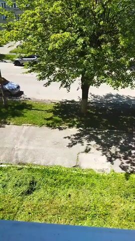 The video shows a sunny day with a tree casting shadows on a sidewalk and a street. There are cars parked on the side of the street. Green grass is visible in the foreground. The camera appears to be positioned on a balcony or elevated surface, looking down on the scene. There are no people visible in the video. The overall impression is a quiet, residential street on a bright day.