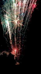 Evening fireworks and nesting storks observed simultaneously