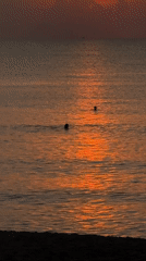 Daily life scenes captured across Nha Trang beaches and streets