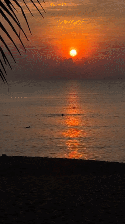 Daily life scenes captured across Nha Trang beaches and streets