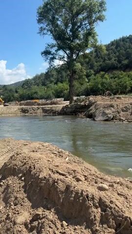 This is a short video of a wide river with murky green water flowing from left to right. The riverbanks are rough and eroded, with exposed soil and rocks. On the left bank, a large, tall tree stands prominent, with some debris and damaged structures near its base. The right bank is lined with dense green trees and foliage, rising up a hillside. The sky is clear and blue, suggesting a sunny day. The water appears to have some turbulent sections and ripples, indicating a moderate current. There are no people visible in the video, and no objects other than natural elements and remnants of possibly man-made structures on the bank. The overall impression is a natural landscape with signs of erosion or damage to the riverbank.