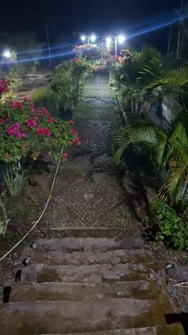 The video shows an outdoor pathway at night. The pathway is lined with lush green foliage and vibrant pink and red flowers, likely bougainvillea. Several lights illuminate the path from above, creating a warm glow. The path itself appears to be made of stone and gravel, with a section in the foreground composed of larger, more rustic stone steps. The overall impression is of a beautifully maintained garden or park at night, inviting exploration.