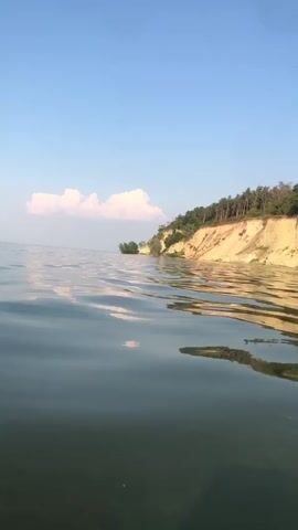 The video shows a view from a body of water, looking towards a cliff face covered in trees. The water is calm and reflects the sky and the trees. The cliff is made of light-colored soil and has some eroded sections. There are several trees growing on top of the cliff and also some closer to the water's edge. The sky is blue with a few white clouds. The video appears to be taken on a sunny day.