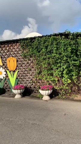 The video pans across a weathered wooden fence adorned with colorful painted flowers, including tulips and daisies, and a sign with large yellow letters that read "ЛЕТО СОЛНЦЕ ЖАР". In front of the fence are several stone planters filled with bright pink flowers. The fence is partially covered with lush green ivy. To the right, the fence transitions into a more rustic, wooden barrier. The scene appears to be outdoors on a paved pathway under a partly cloudy sky with patches of blue. As the video continues, it shows more of the rustic wooden structures and fences, suggesting a park or themed area. A person is seen walking down the pathway towards the right. The lighting indicates it is daytime.