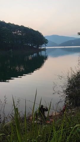 The scene is a serene lakeside view during twilight or early morning. A still body of water reflects the sky and a tree line on the opposite shore. The reflection creates a mirror image, adding depth to the view. A mountain range is visible in the distance, partially obscured by the hazy sky. On the near shore, tall grasses and shrubs create a natural border to the water's edge. A fishing rod is set up, suggesting someone is fishing. The camera is stationary.