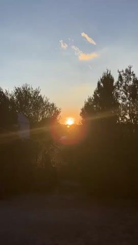 A vertical video shows a sunset. The sun is visible in the distance, peeking through silhouetted trees. The sky is a gradient of blue and orange. Lens flare from the sun is prominent. The foreground is dark and out of focus.