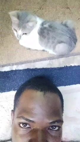 A selfie video shows a person's face filling the bottom half of the screen, looking directly at the camera with a neutral expression. Above the person's head, a gray and white cat is lying on a patterned rug. The cat is looking to its left, away from the camera. The background is slightly blurred. The overall lighting is dim.