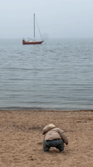 Child explores beach collecting shells in Gelendzhik Russia