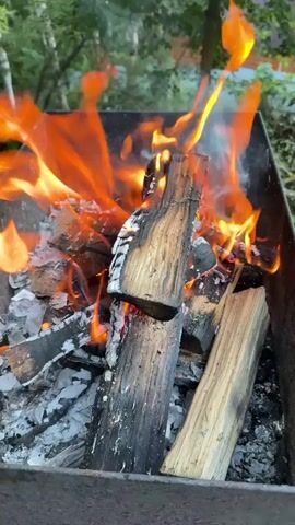 The video shows a close-up view of a fire burning in a metal grill. Several logs of wood are engulfed in flames, which are a bright orange and yellow. The wood is charred and grayed from previous burning, with ash accumulated at the bottom of the grill. Smoke rises from the fire, creating a hazy effect. The background is blurred but suggests an outdoor setting with green foliage, possibly trees or bushes. The lighting indicates it is daytime. The camera is positioned above and slightly to the side of the grill, capturing the intensity of the flames. There are no people visible in the frame.