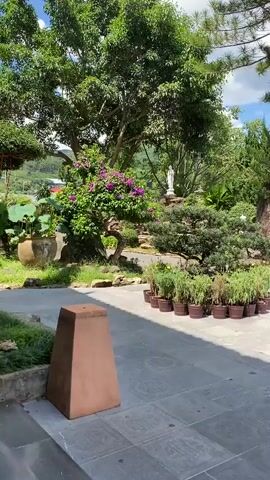 This media file captures a serene outdoor scene at a temple or garden in Thôn 5, Vietnam. The setting is bathed in bright sunlight, suggesting it is midday or early afternoon. The weather appears to be pleasant, with a clear blue sky dotted with fluffy white clouds.

The foreground is dominated by a paved courtyard area, with large, square stone tiles forming a patterned walkway. To the left, a large, terracotta-colored planter sits prominently, casting a shadow. In the center, a circular arrangement of potted plants, featuring lush green foliage, is a focal point.

Further into the scene, a variety of trees and plants create a rich, verdant landscape. A large, mature tree with a thick trunk and expansive green canopy is a significant feature. In the distance, a tall, multi-tiered pagoda stands as a testament to the location's cultural significance.

A notable element is a large, white statue of a child, facing away from the camera, with its arms outstretched. This statue is positioned amidst the greenery and overlooks a valley in the background. Several white benches are arranged in a row, inviting contemplation or rest.

The overall atmosphere is peaceful and tranquil, with a strong emphasis on nature and spiritual elements. The meticulous arrangement of plants and the presence of religious iconography suggest a well-maintained garden or temple grounds. No specific activity or event is visibly taking place; the focus is on the static beauty of the environment. There is no visible text within the media file.
