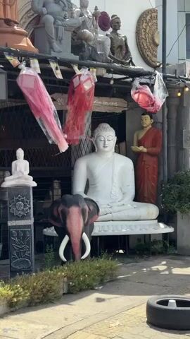 The video captures an outdoor display of numerous religious statues and decorations under bright daylight. In the foreground, a large white seated Buddha statue is prominent, accompanied by a black and red elephant head sculpture with white tusks. To its left, a smaller white seated Buddha rests on a dark, carved pedestal. Above these, several red and pink decorative lanterns, some still in plastic wrapping, hang from a string of small lights and Buddhist prayer flags.

Higher up, a variety of other statues are arranged: a grey seated Ganesh, other grey seated deities, and a skeletal figure. To the left, a tall reddish-brown standing deity statue is visible. On the right, a standing red-robed monk figure is part of the display. Overhead, a large golden seated Buddha statue rests on a raised platform. The background features a white building facade with a large white circular decorative element and a long red pole. Green foliage frames the base of the display, and a discarded tire is partially visible on the ground. Faint Sinhala script, including "ශ්‍රී ලංකා" (Sri Lanka), can be seen on a wooden sign. The scene is brightly lit by the sun, suggesting a clear day.