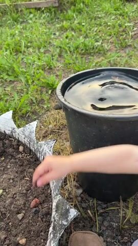 A person's hand is shown partially submerged in water in a black bucket. The bucket is outdoors, with green grass and soil visible in the background. The hand is moving, creating ripples in the water.