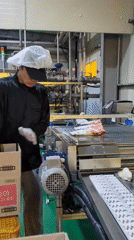 Factory worker observed in protective gear at industrial facility
