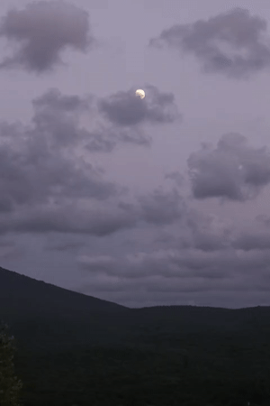 Full moon rising over forested hills and dry meadows at dusk