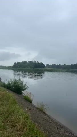 The video shows a wide, calm river under an overcast sky. The riverbank on the left is lined with green grass and a concrete embankment. On the opposite bank, there is a dense line of trees and reeds. The water is reflecting the gray sky. In the foreground, on the right side, a fishing rod is visible, angled towards the water. The overall mood is serene and quiet.