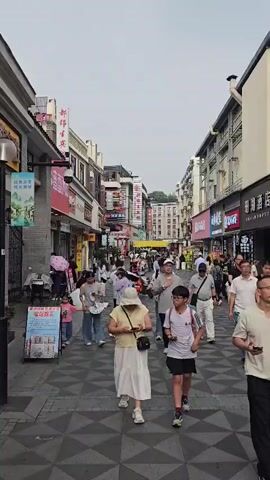 This video captures a bustling street scene in Gongshu District, China, likely during the daytime. The weather appears to be overcast, with a soft, diffused light. The street is lined with multi-story buildings housing various shops and businesses, indicated by signage in Chinese. Some shops display merchandise, while others appear to be restaurants or hotels, with one sign clearly reading "丽湖酒店" (Lihu Hotel).

The primary activity is pedestrian traffic. A diverse group of people, including adults and children, are walking along the paved street. Many are dressed casually, suggesting a relaxed atmosphere, though some individuals appear to be tourists, holding phones and looking around. A young girl in a pink outfit is visible, as is a young boy with a backpack and glasses. Several adults are seen in the foreground and midground, some interacting with their phones.

The street itself is paved with a patterned tile design. On the left side of the street, there are awnings, potted plants, and what appears to be an information stand with a poster displaying images and text. The overall mood seems lively and active, typical of a commercial street in a populated area. The buildings have a mix of traditional and modern architectural elements, with some featuring balconies and visible air conditioning units. The time of day is suggested to be daytime due to the brightness of the scene.