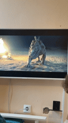 Resident watches creature feature film on television in Tobolsk