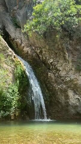 A waterfall cascades down a rocky cliff face into a pool of clear, green water. Lush green vegetation covers parts of the cliff and surrounds the pool. The sunlight filters through the trees, illuminating the scene.
