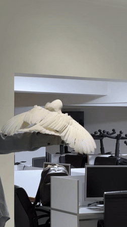 Everyday life moments captured across Tangier, Morocco afternoon