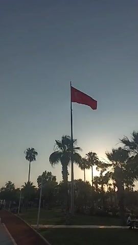 This media file captures a serene outdoor scene, likely in Yenişehir, Turkey, during what appears to be a warm and clear day, given the bright sunlight. The main subject is a Turkish flag, prominently displayed on a flagpole. The flag is red with a white crescent moon and star, a symbol of the Republic of Turkey.

The setting is a park or a public area with lush greenery and numerous palm trees. The sun is low in the sky, suggesting it is either early morning or late afternoon, casting a warm glow and creating lens flares that add a dramatic effect to the footage. The sun's rays are visible, shining brightly through the fronds of the palm trees, some of which are silhouetted against the sky.

In the foreground, a portion of a red running track is visible on the left, indicating the presence of recreational facilities. There are also some people in the distance, appearing as small figures enjoying the park. One person is visible on the right, walking. The overall atmosphere is peaceful and tranquil, evoking a sense of calm and natural beauty. The clear blue sky contributes to the pleasant weather conditions. There is no visible text in the media file.