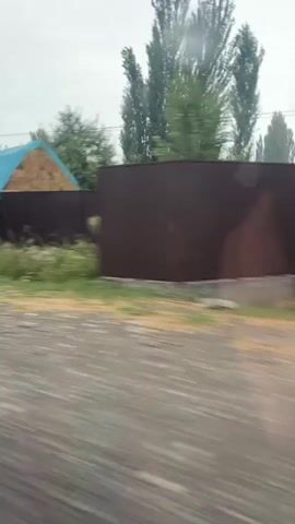 The video shows a blurry, first-person perspective of a moving vehicle passing by a residential area. There are houses with blue roofs and dark fences, surrounded by trees and overgrown grass. At one point, a police car with flashing lights is visible, along with a person in uniform standing next to it. The road appears wet, suggesting it may be raining or has recently rained, with visible water droplets on the vehicle's window. The overall impression is of a somber and slightly unsettling atmosphere due to the weather and the presence of law enforcement.