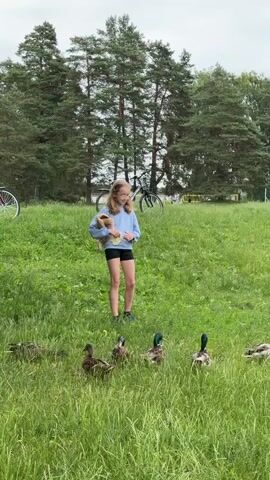 A young girl with blonde hair and glasses stands in a grassy field holding a stuffed animal. She is wearing a light blue hooded sweatshirt and black shorts. Several ducks are gathered in the grass in front of her. In the background, there are tall pine trees and two bicycles leaning against each other. The sky is overcast.