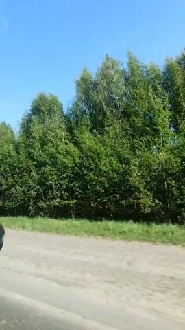 The video shows a roadside view from a moving vehicle. A line of mixed green trees and foliage runs along the side of the road. The sky is a clear blue. The road surface appears to be gravel or a similar rough material.