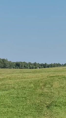 The video shows a drone view of a grassy hill on a clear day. A tall, dark monument with a gold dome stands on top of the hill. Several people are visible walking around the monument. A path leads up to the monument from the side. The landscape is a wide, open field of green grass with trees in the distance.
