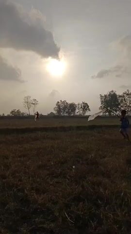 The video shows an outdoor scene with dry grass in the foreground and a treeline in the background under a bright sky with clouds and the sun. A person on a motorcycle is visible in the distance, to the left of the frame. In the middle ground, a child is running towards the right side of the frame, holding a long stick. The sun is visible through the clouds, creating a hazy, bright effect. The overall impression is of a rural setting during daylight hours.